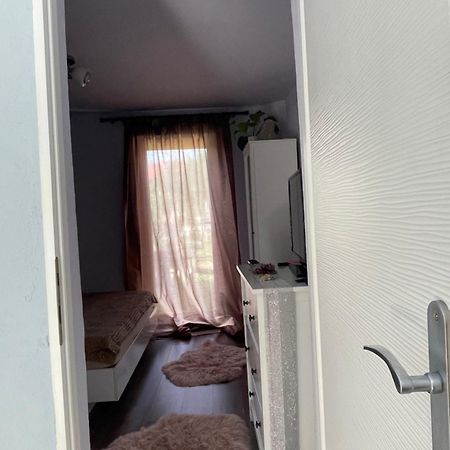 Apartament Garsoniera La Casa Timișoara Zewnętrze zdjęcie