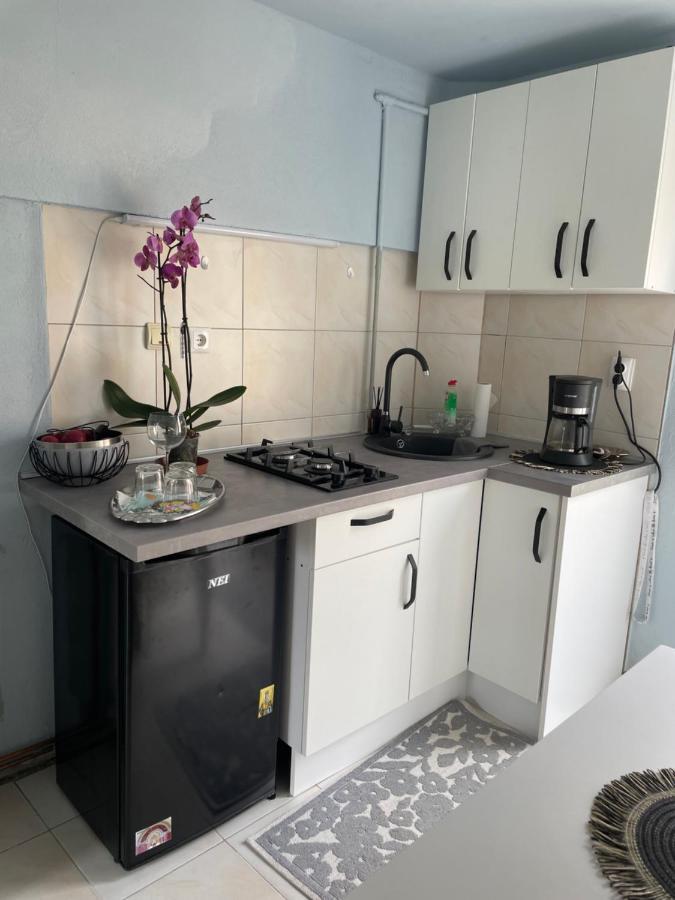 Apartament Garsoniera La Casa Timișoara Zewnętrze zdjęcie